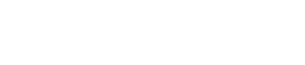 supplier diversity logo white